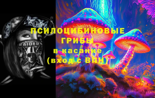 не бодяженный Арсеньев