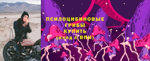 не бодяженный Арсеньев
